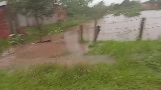 WhatsApp Video 2026 10 12 At 10.12.15 AM